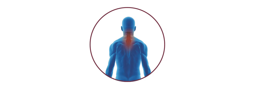 STIWELL® | functional electrical stimulation (FES) for tetraplegia STIWELL® | functional electrical stimulation (FES) for tetraplegia