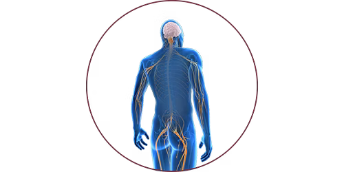 FES bei Nervenschädigung | STIWELL® Neurorehabilitation