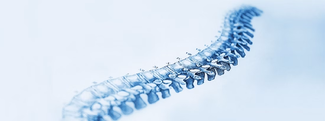Duration of a herniated disc Duration of a herniated disc