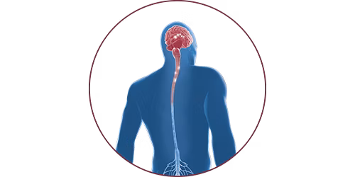 FES bei Multipler Sklerose | STIWELL® Neurorehabilitation