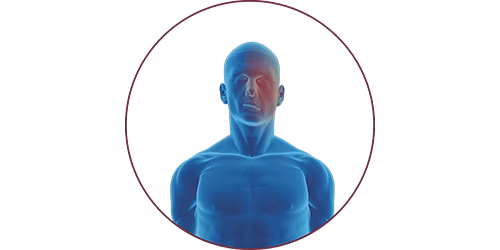 FES bei Fazialisparese | STIWELL® Neurorehabilitation