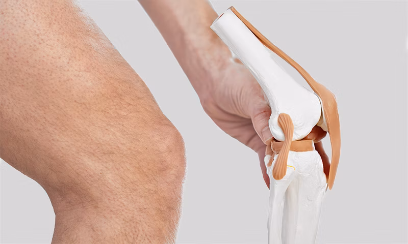 What is a meniscus rupture? What is a meniscus rupture?